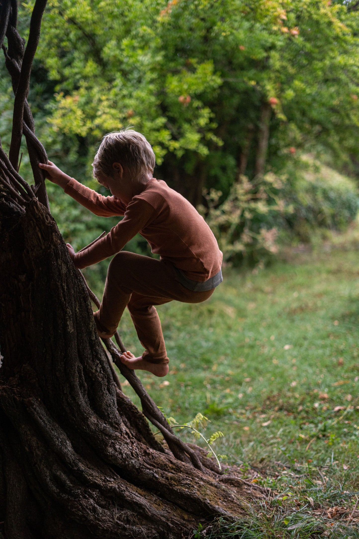 Grapat Mandala Natural Assorted