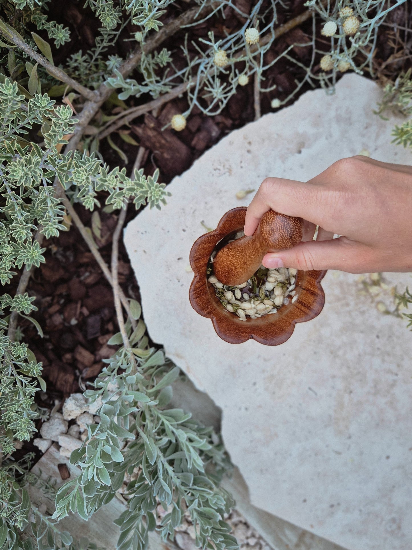Petal & Pestle