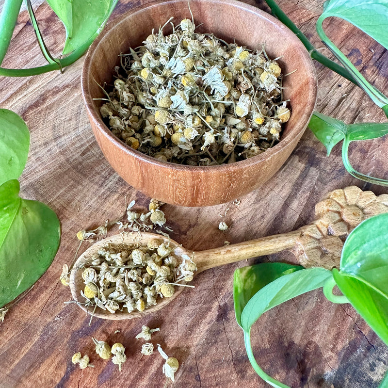 Chamomile