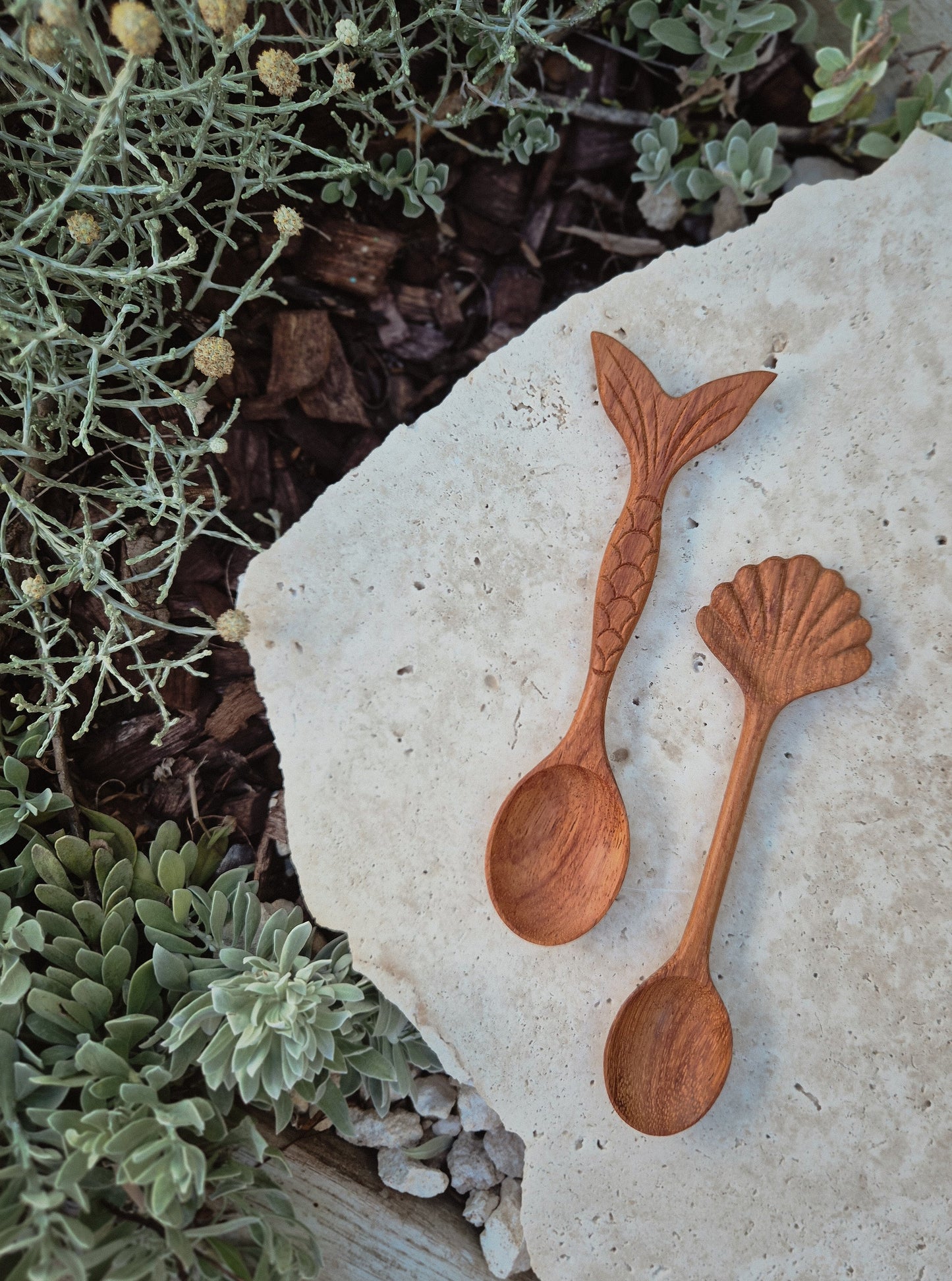Shell Spoon